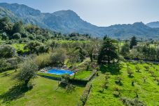 Villa in Pollensa - EL RAFALET